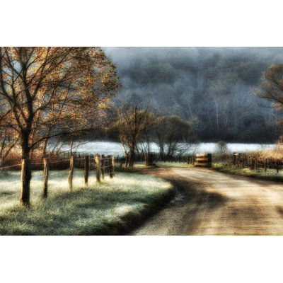 Morning Frost by Danny Head - Wrapped Canvas Print