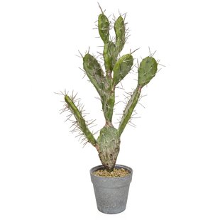 AntHousePlant Artificial Cactus Fake Big Cactus 36 Inch Faux Cacti Plants  for Home Garden Office Store Decoration