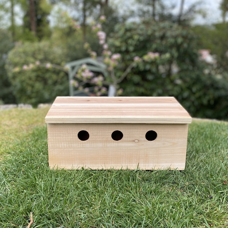 Sparrow Colony Terrace Wooden Mounted Bird House