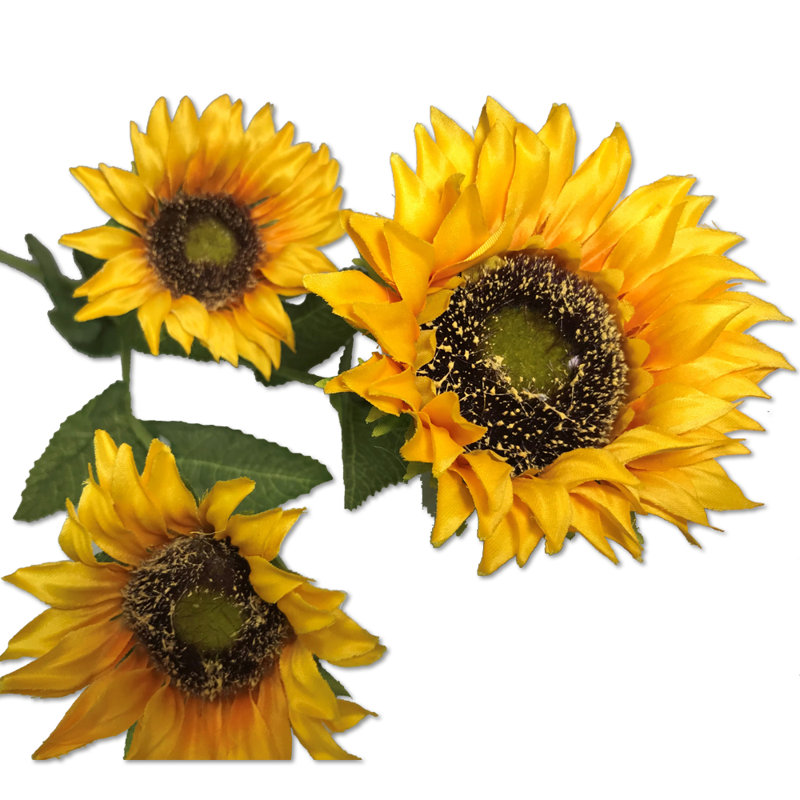 Tige de tournesol, Jaune / Vert / Brun