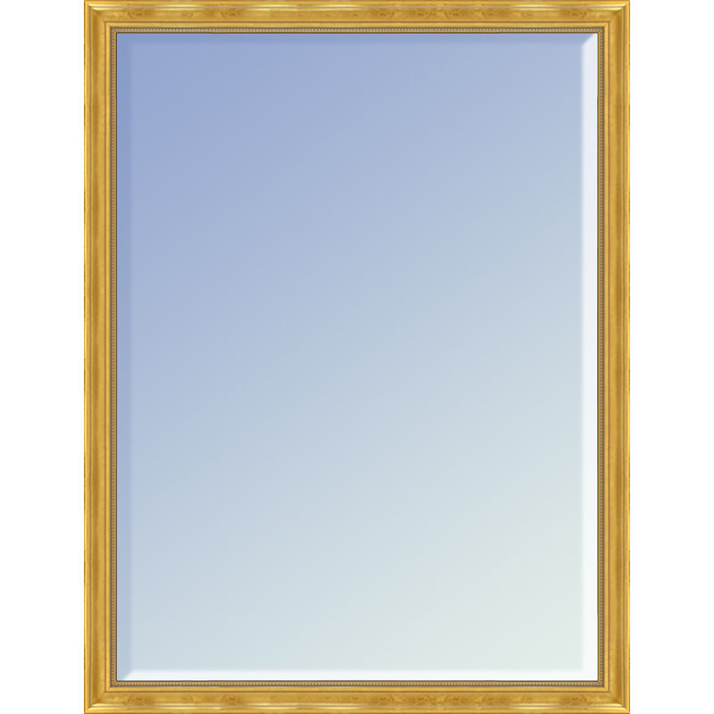 Miroir mural Franchesska, 20 po x 30 po