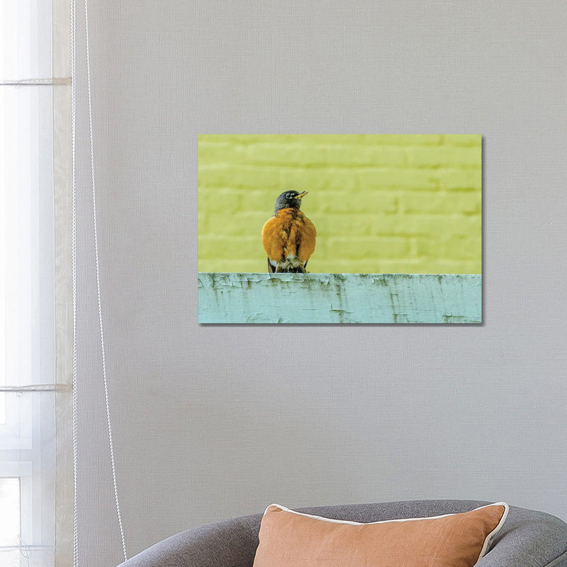 Big Cat by David Gardiner - Print on Canvas, Wrapped Canvas, 66.04 cm H x 45.72 cm W x 3.175 cm D
