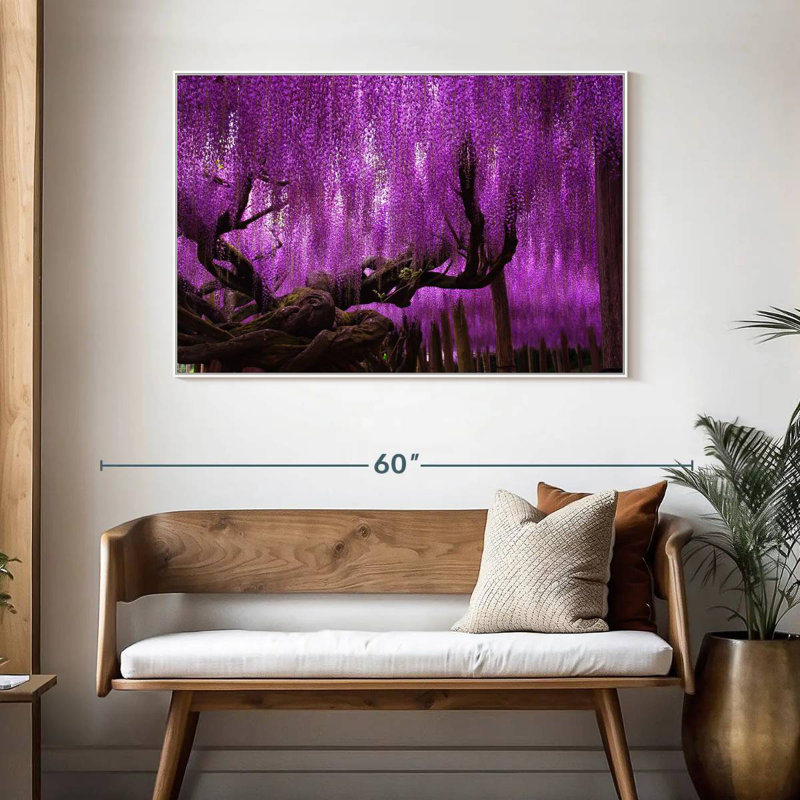 Wisteria saule, Cadre flottant blanc, 46 po x 31 po