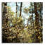 «Spring» par Kelly Sinclair-101627359