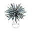 Kyanite Star On Crystal