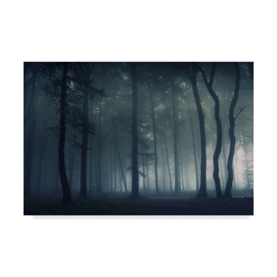 Mysterious Dark Forest par Photocosma - reproduction de photo sur toile