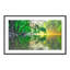 Trees Get Thirsty Too Print by Shawn Thomas-48614395-48614396