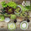 Artichoke Earthenware Appetizer Plate