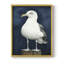 ANIMALS Series CECLV III - Impression encadrée de qualité supérieure - Prêt à être accroché - Aucun clou requis-2085458554-2085458555