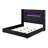 Stoehr Upholstered Queen Flame Visualizer Bed Black -1802398008-1802398009
