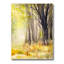 «Bright Sunshine Through The Forest Trees II», reproduction sur toile tendue-59646298