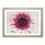 Heart of a Pink Gerbera - Picture Frame Painting Print-56712065-56712066