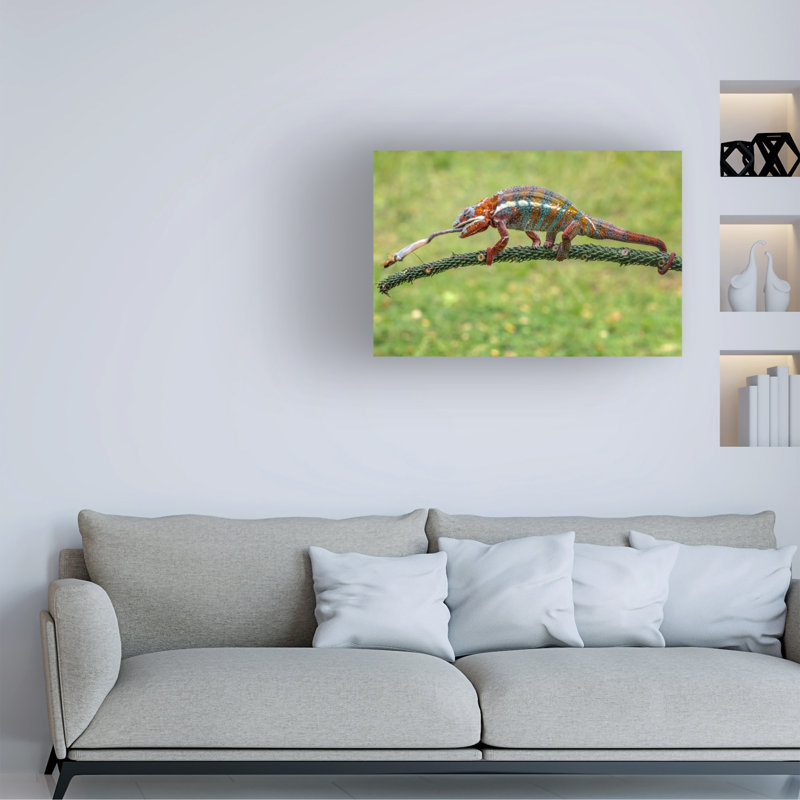Art sur toile «Bachely», H 16 po x l 24 po
