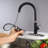 Rainlex Pull Down Kitchen Faucet