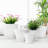 Delva Pot Planter-1722595714