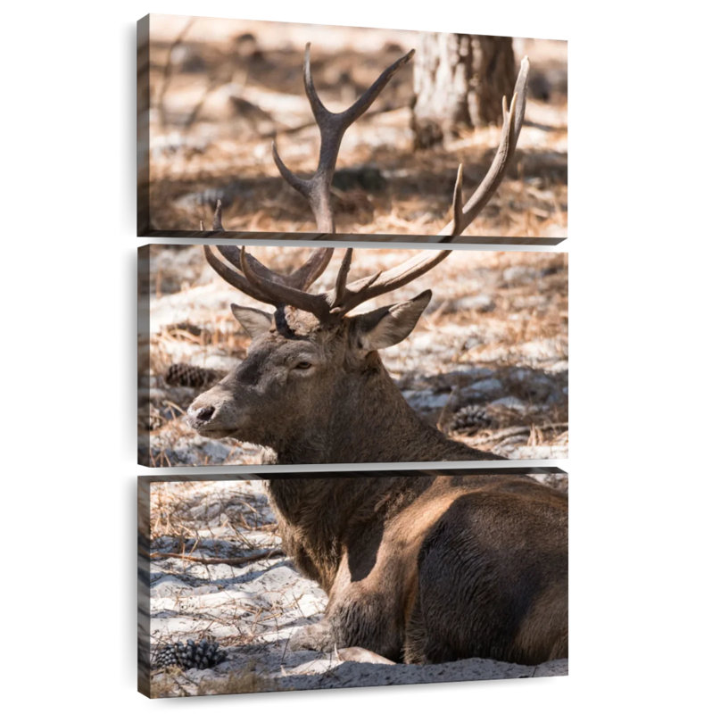 Brampt Elk Terrain, 65" H x 42" W