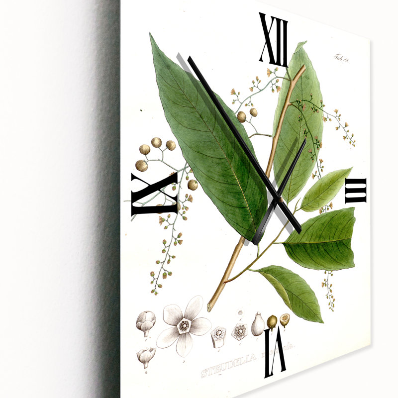 Plante brésilienne rétro I - horloge murale traditionnelle, Très grand