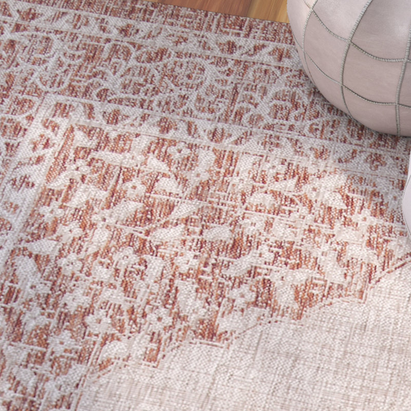 Amedee Performance Oriental Indoor/Outdoor Area Rug, Rectangle 2'7" x 5'