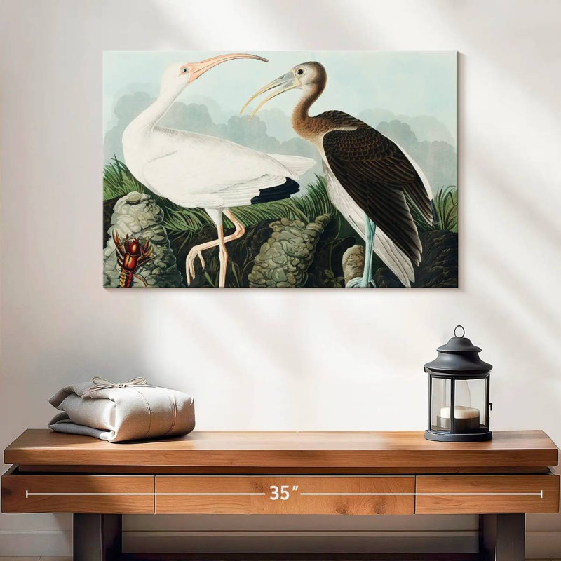 Brampt White Ibis, 16" H x 24" W