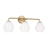 Trent Austin Design® Huerfano 3 - Light Dimmable Vanity Light & Reviews ...