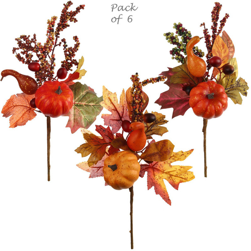 Ensemble de 3 choix de citrouilles d'automne