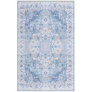 Danna Performance Light Blue/Blue Rug