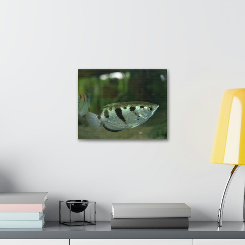 Archer Fish Hunting Archer Fish on Hunt Print Animal Wall Art, 12" H x 18" W