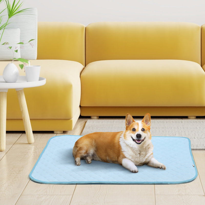 Tapis de refroidissement pour animaux de compagnie
