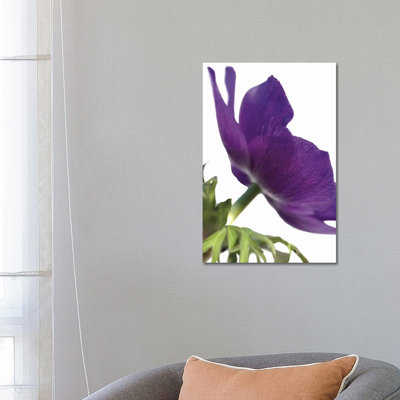 Floral Saturation III by Boyce Watt - Wrapped Canvas Print