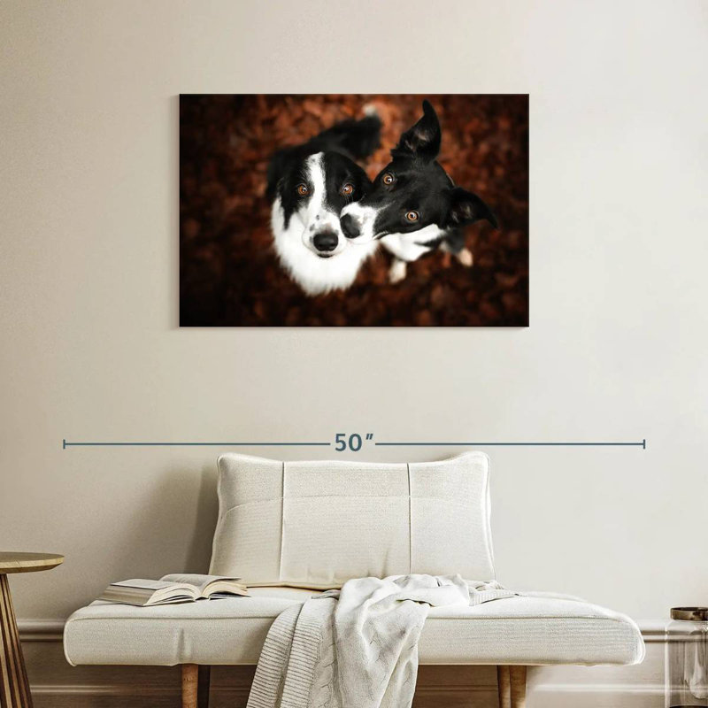 Brampt Adorable Border Collies, 24'' H x 36'' W