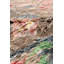 Abstract Area Rug
