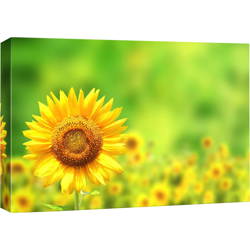 Tournesol sur fond de pétales de tournesol, H 16 po x l 24 po