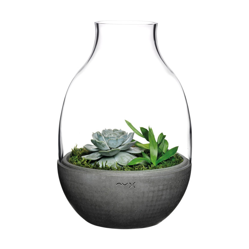 Eden Handmade Glass Planter, 13.5" H x 9" W x 9" D