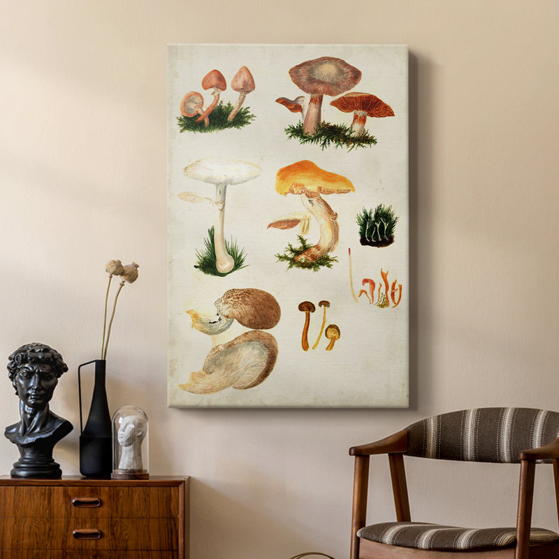 Mushroom Species IV - galerie sur mesure, H 12 po x l 8 po