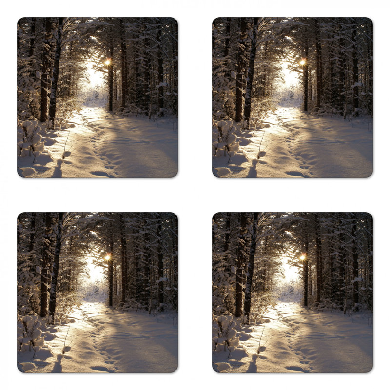 Square 4 Piece Coaster Set