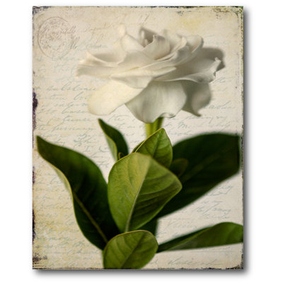 " Beautiful Gardenia I "
