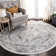 Delmer Performance Oriental Rug
