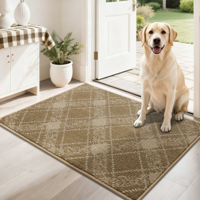 Tapis de porte antidérapant avec envers en TPR - Doux, lavable, paillasson à profil bas pour l'entrée intérieure, parfait pour les animaux de compagnie et la famille