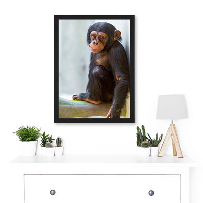 Ape Monkey Cute Baby Chimpanzee - Single Picture Frame Print