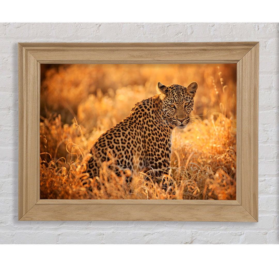 Leopard Sunset Gerahmter Druck Wandkunst