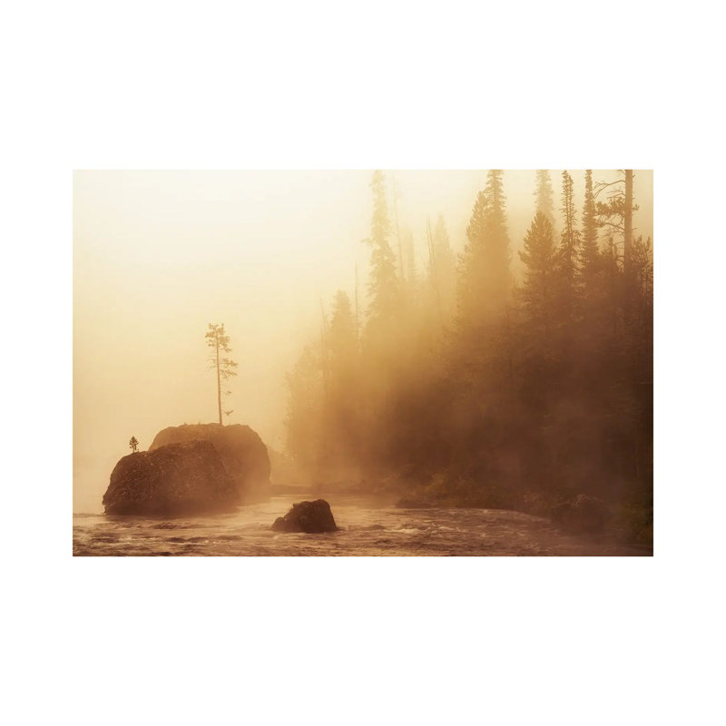 Rock Tee And Fog by Dennis Frates - No Frame Gallery-Wrapped Canvas Giclée on Canvas, 101.6 cm H x 66.04 cm W