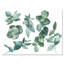 Feuilles d'eucalyptus vert foncé - Peinture sur toile-59917481-59986931