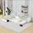 Upholstered Daybed with Trundle and Drawer-129879321
