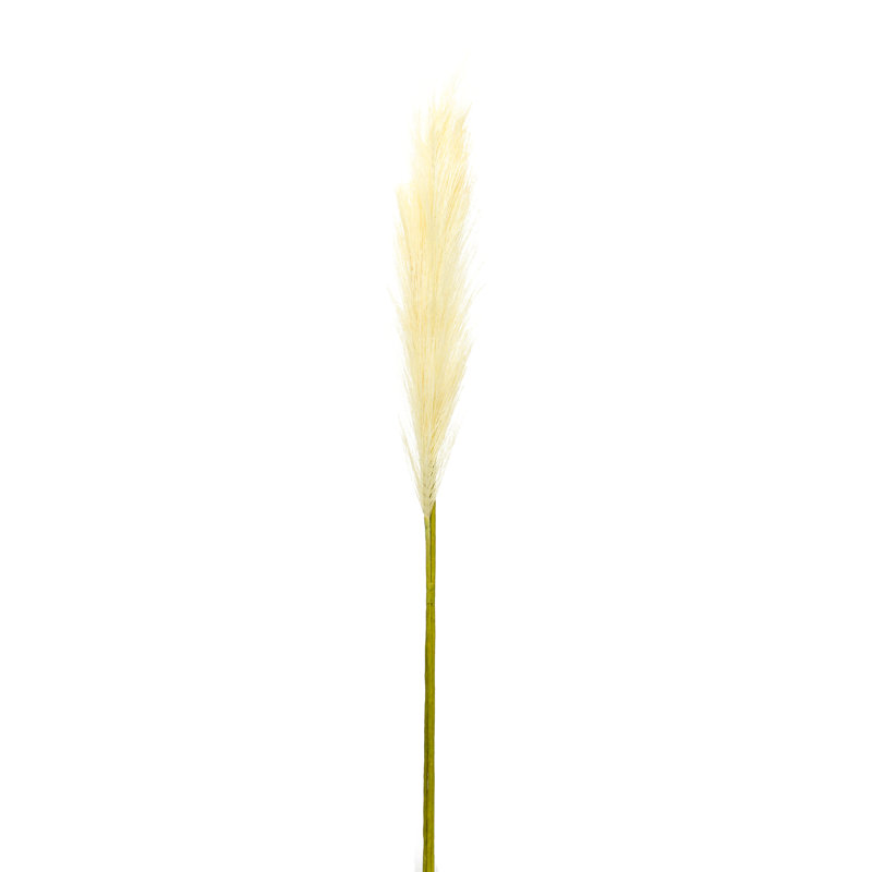 Faux Pampas Grass Grass, 30" H x 3" W x 2.5" D