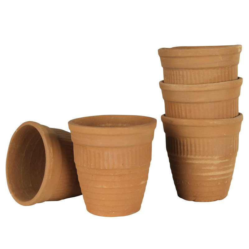 Adalea Pressed Terracotta Cup