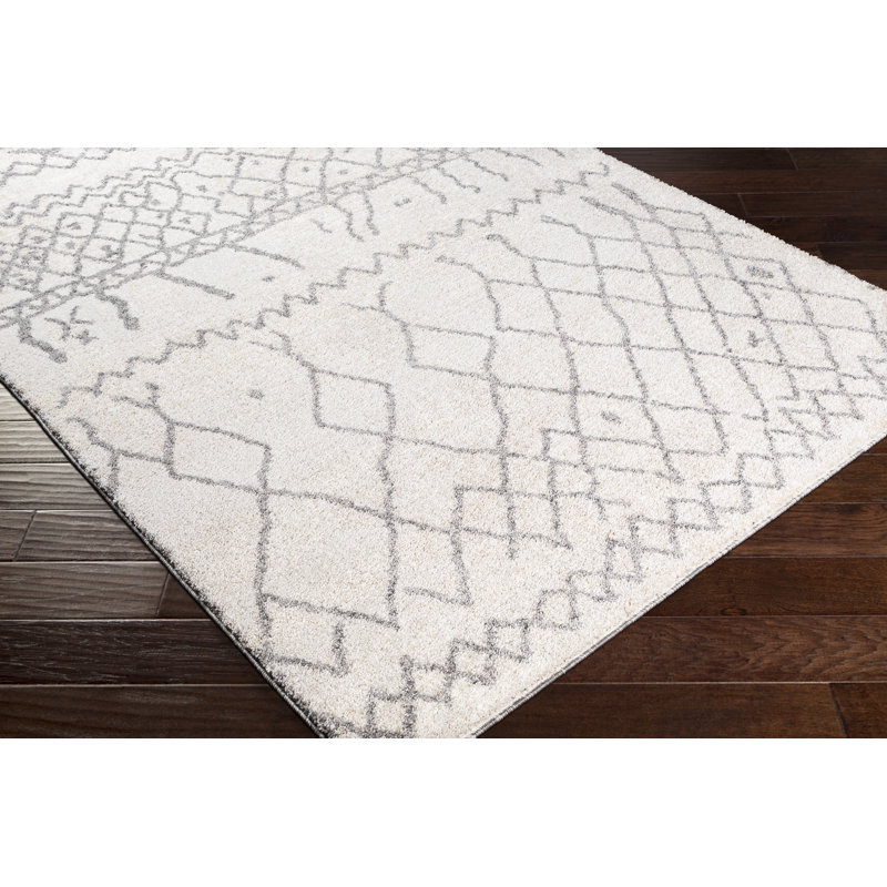Arlo Southwestern Indoor Rug, Rectangle 2' x 3'