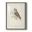 Little Owl Premium encadré mat - prêt à accrocher-1174590309-1174590365
