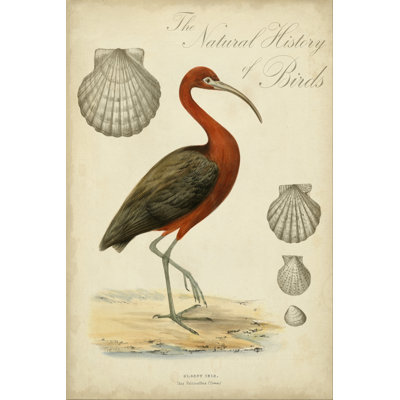 Heron Anthology II 1 Piece Wrapped Canvas Wall Art