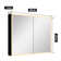 Flora Rectangular Black Aluminum Frame Wall Mount or Recessed Medicine Cabinet with Mirror and Dimmable Lights,3 Color Temperatures,Anti-Fog,Sliding Adjustable Glass Shelves