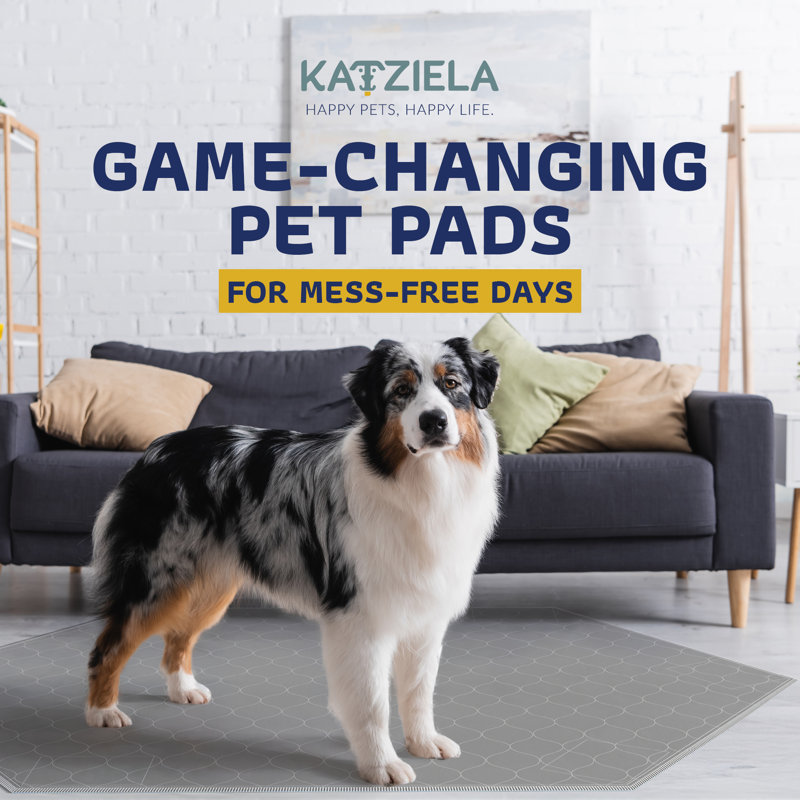 Surmatelas réutilisable Katziela, L 72 po x P 72 po x H 1 po